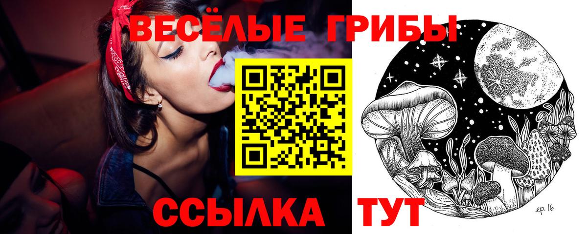 Псилоцибиновые грибы MAGIC MUSHROOMS  Вход с VPN  Псилоцибиновые грибы ЛСД  Клин 
