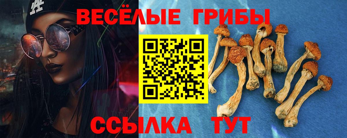 Галлюциногенные грибы Cubensis Клин